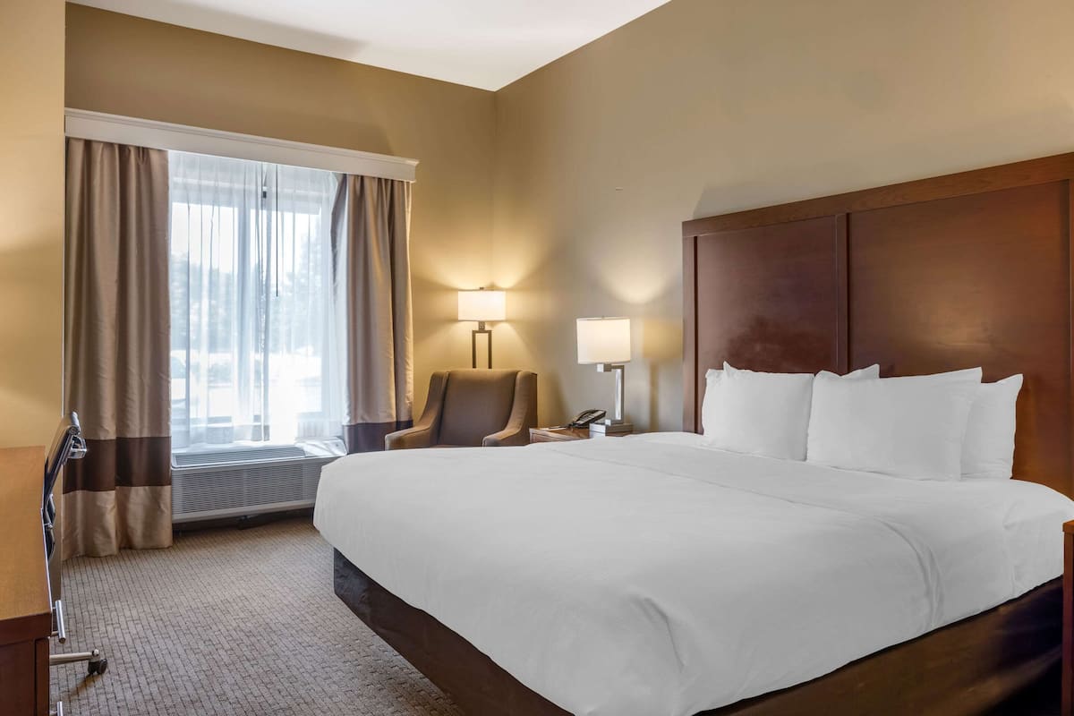 Room, 1 King Bed, Accessible, Non Smoking | 1 bedroom, desk, laptop workspace, blackout drapes