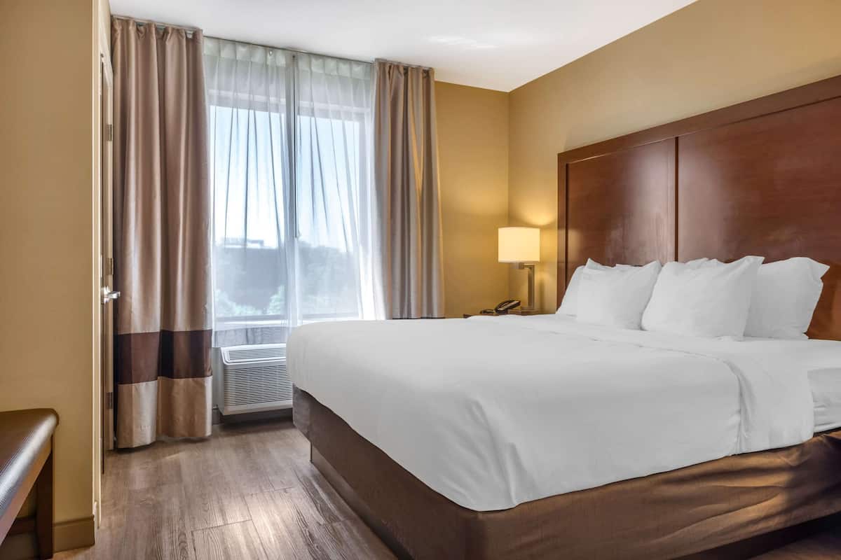 Standard Room, 1 King Bed, Non Smoking | 1 bedroom, desk, laptop workspace, blackout drapes