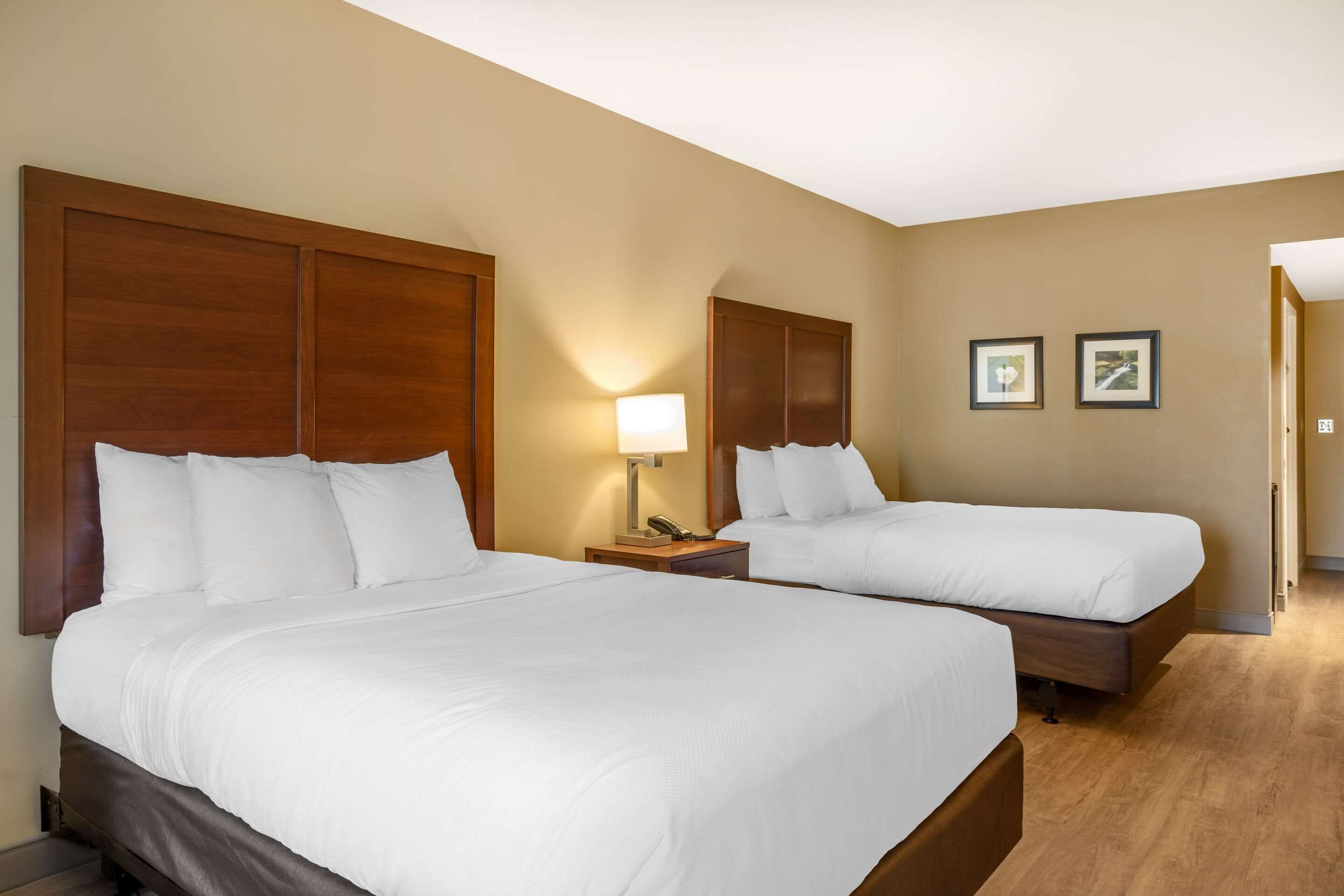 A hotel room with two beds, wooden headboards, a nightstand with a lamp, and two framed pictures on the wall.