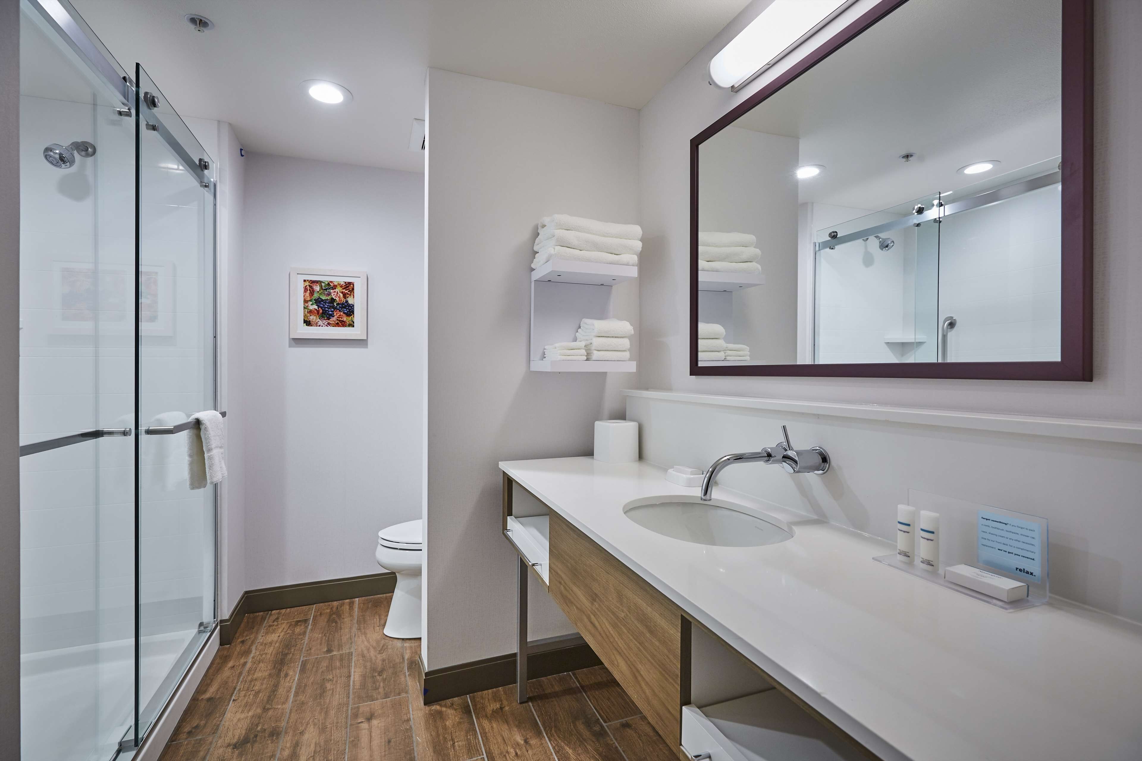 room, 1 king bed with sofa bed, non smoking | bathroom shower