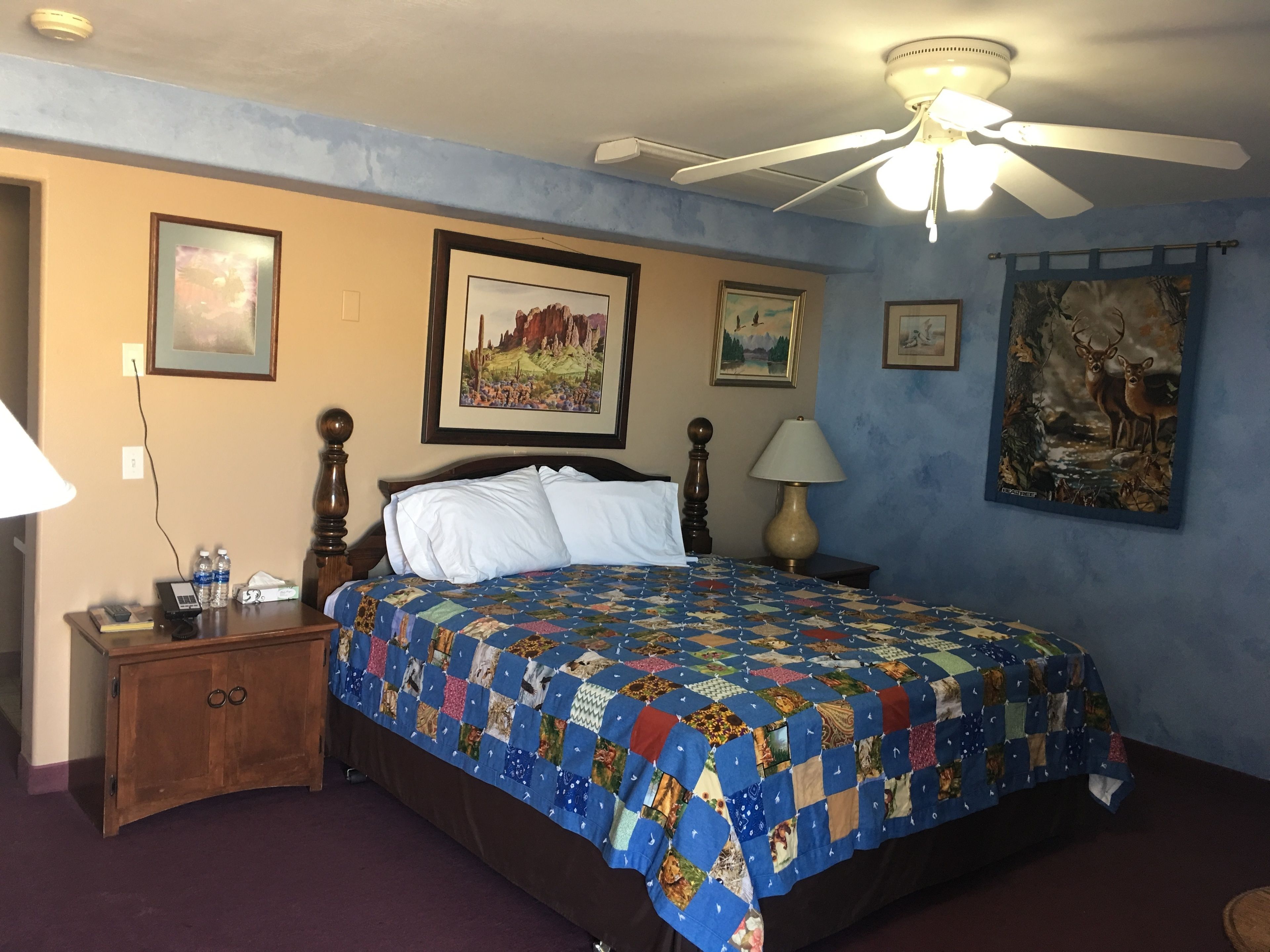 Habitación de hotel con una cama grande, una mesita de noche, una lámpara y cuadros en las paredes.