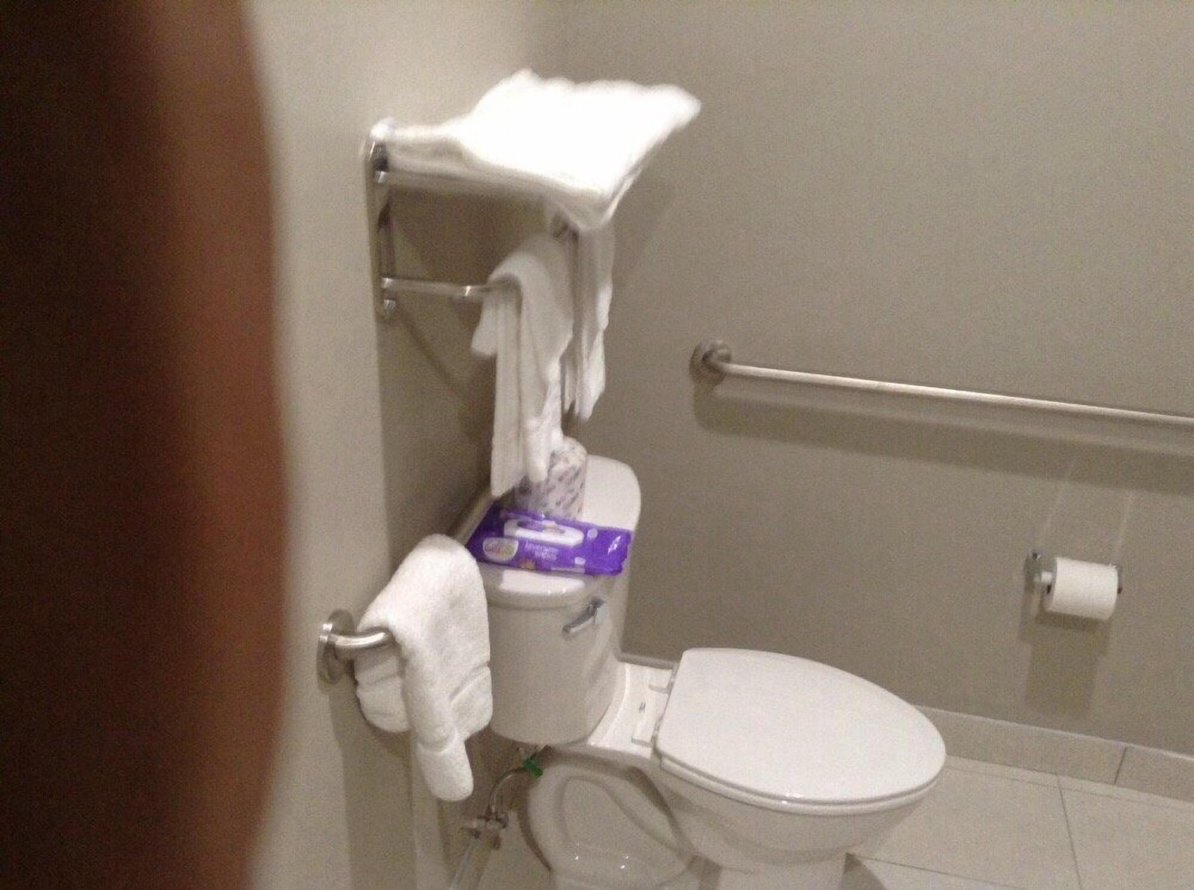 combined shower/bathtub, free toiletries, towels