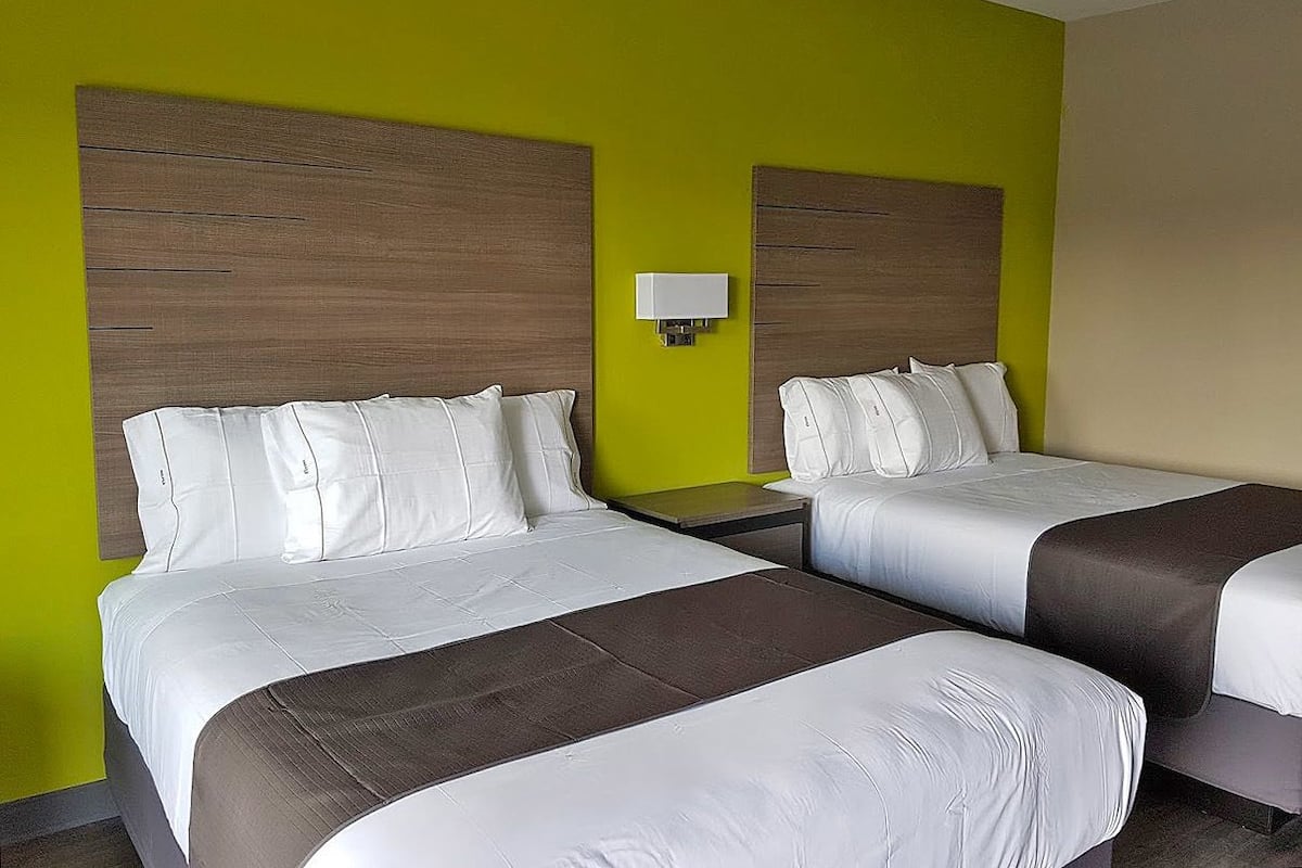 Une chambre d’hôtel avec deux lits, chacun doté de draps blancs et d’une tête de lit marron, le tout sur un mur vert.