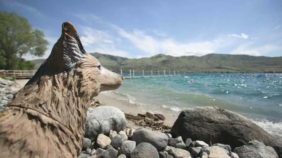 WorldMark Lake Chelan Shores