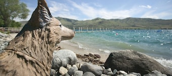 WorldMark Lake Chelan Shores