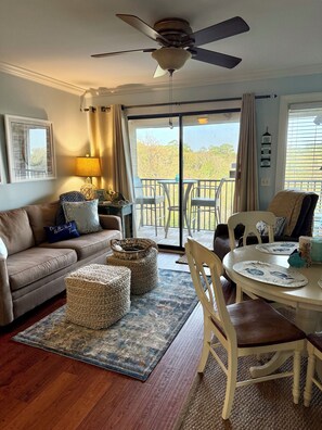 Smart TV, DVD player, books, video library