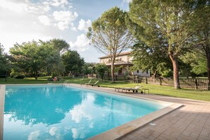 Seasonal outdoor pool, open 8:00 AM to 8:00 PM, sun loungers