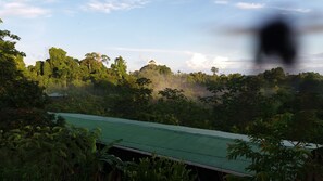 Vista de un paisaje verde exuberante con follaje denso y un edificio con techo verde.