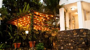 A stone staircase leading up to a covered area with string lights, surrounded by potted plants and a grassy area. - Hotel Ciudad Blanca (Copan Ruinas)