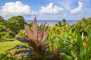 Beach nearby - Pirate's Den Hotel (Roatan)