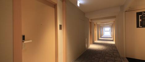 A hotel hallway with carpeted floors, wooden doors, and a light fixture on the ceiling.
