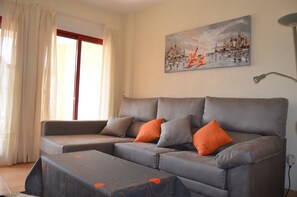 Televisio, DVD-soitin