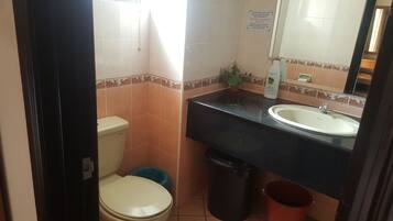 Standard Apartment, 3 Bedrooms, City View | Bathroom | Shower, free toiletries, hair dryer, towels