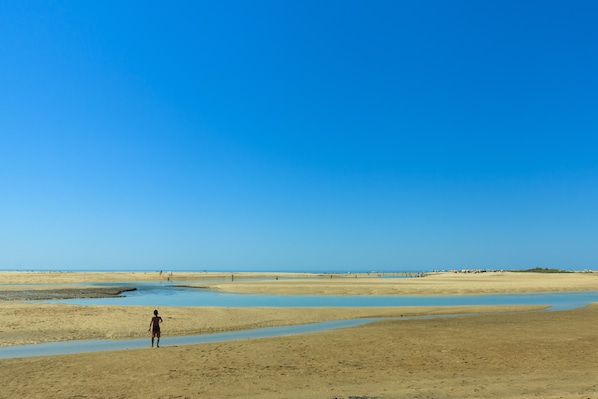 Una extensa playa de arena con cielo azul despejado.