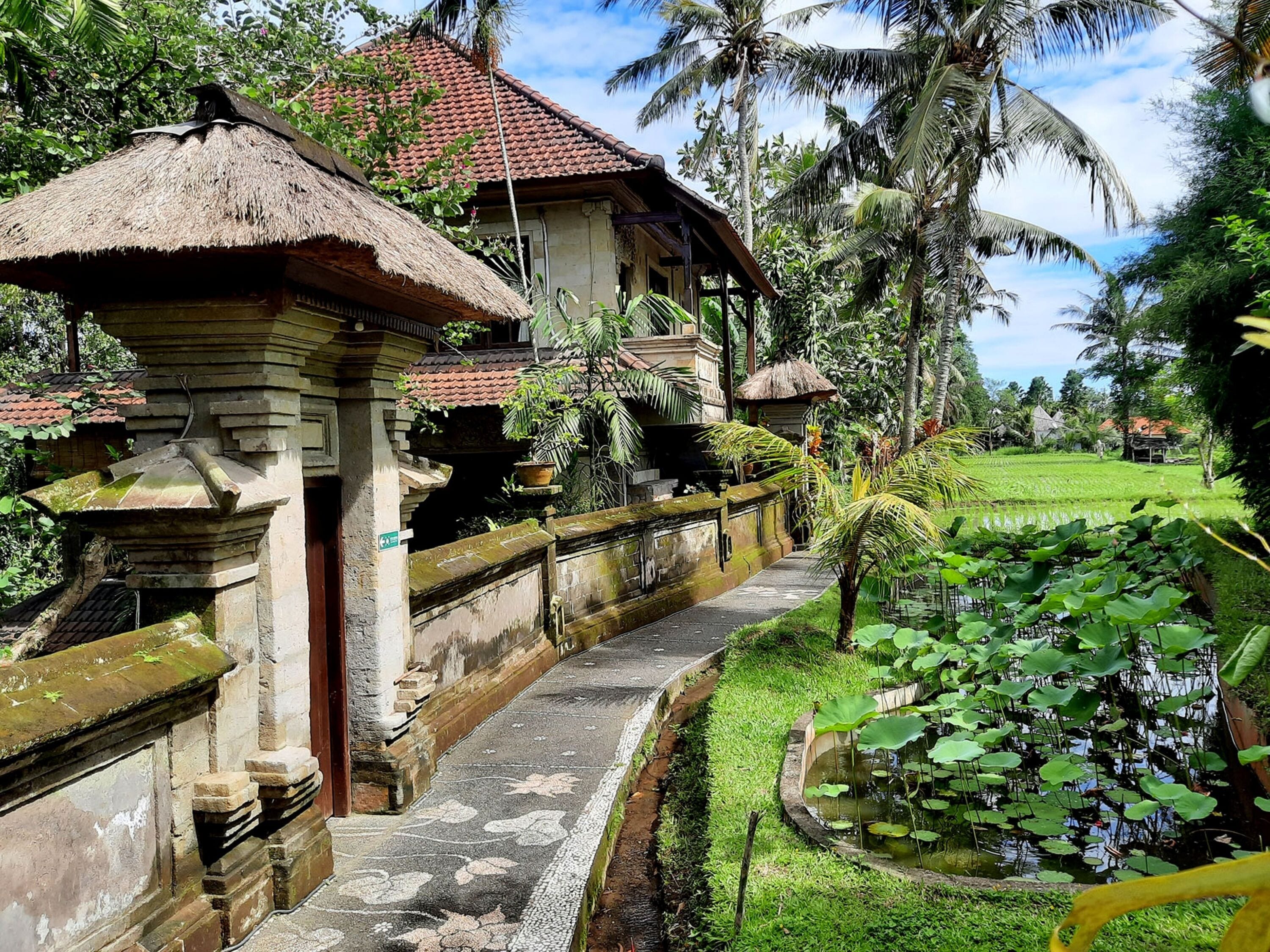 Foto - Alam Jiwa Ubud
