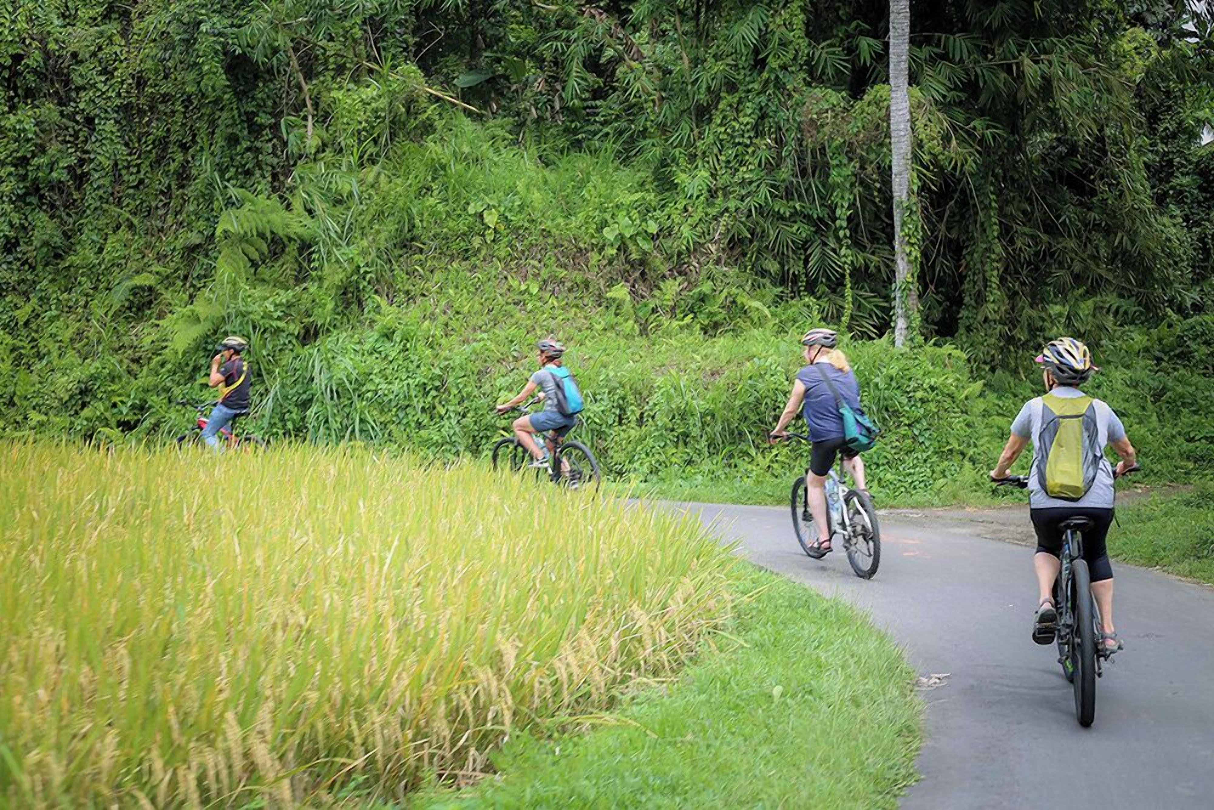 Foto - Alam Jiwa Ubud