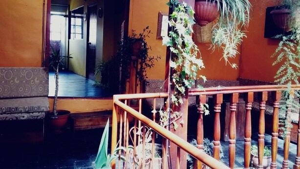 A staircase with a wooden railing, a patterned sofa, and potted plants. - Little Home (Cusco)