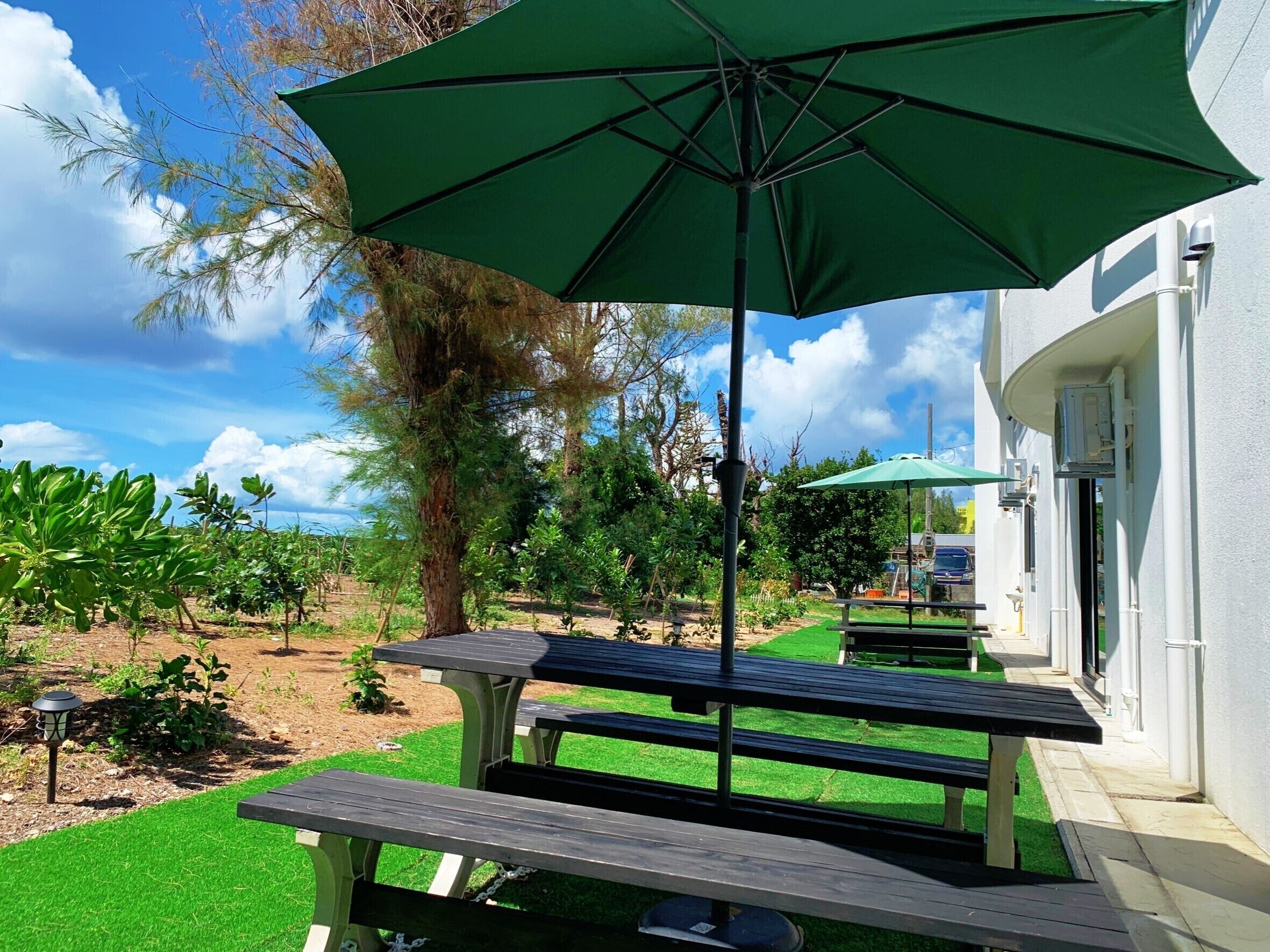 A patio area with picnic tables and a green umbrella.