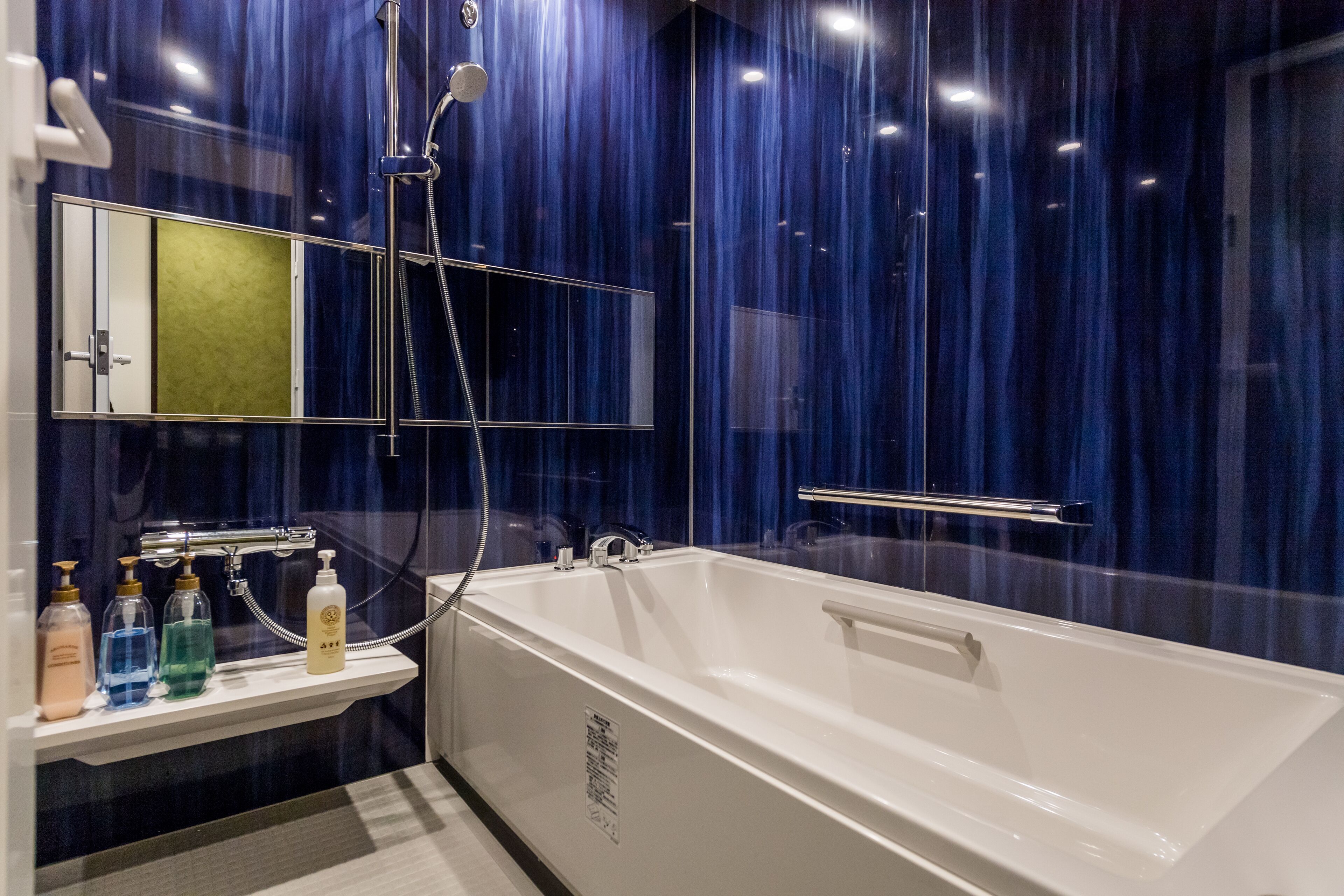 separate bathtub and shower, jetted bath, hydromassage showerhead