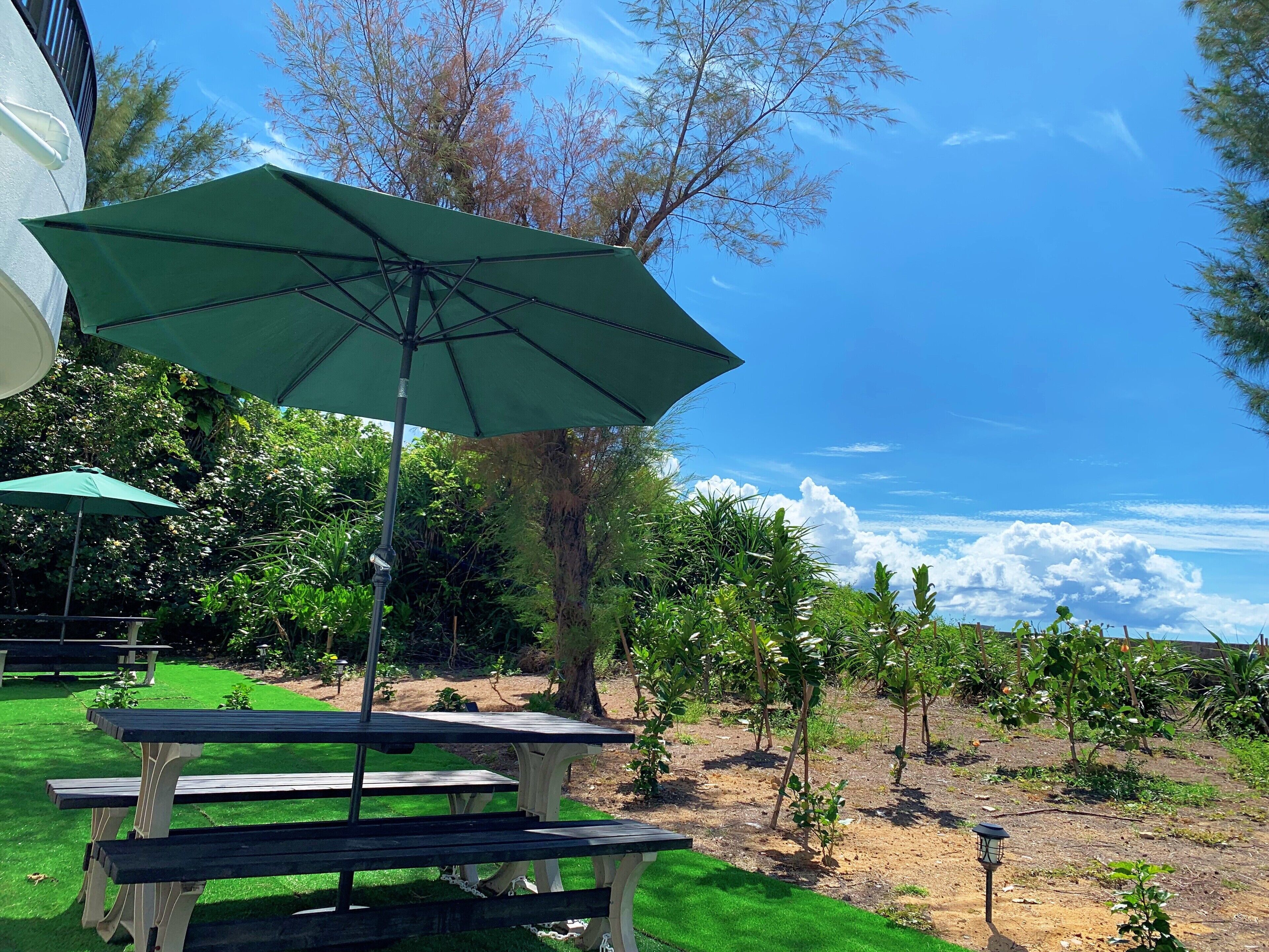 An outdoor patio area with picnic tables and a large umbrella.