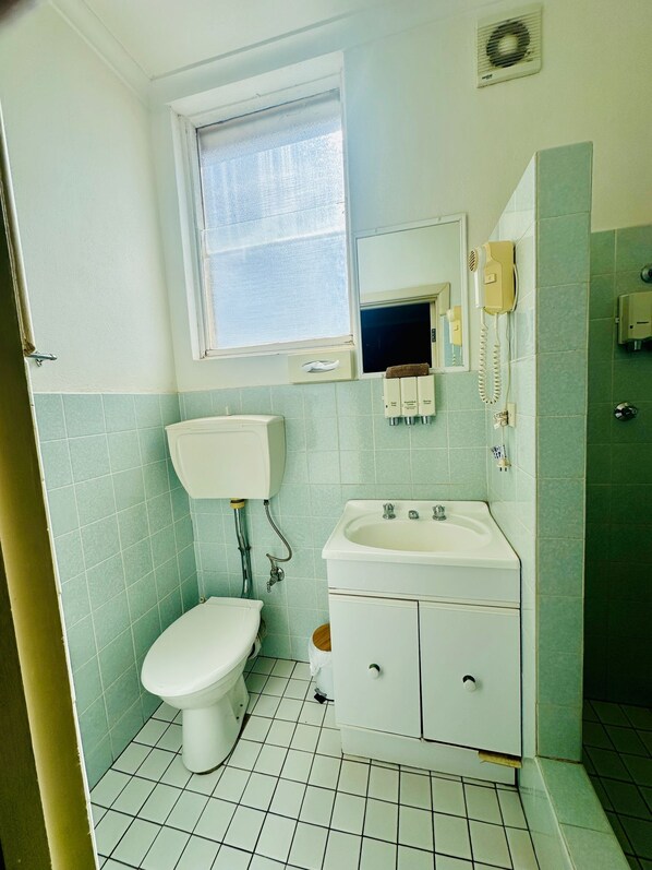 Un baño con inodoro, lavamanos y espejo.
