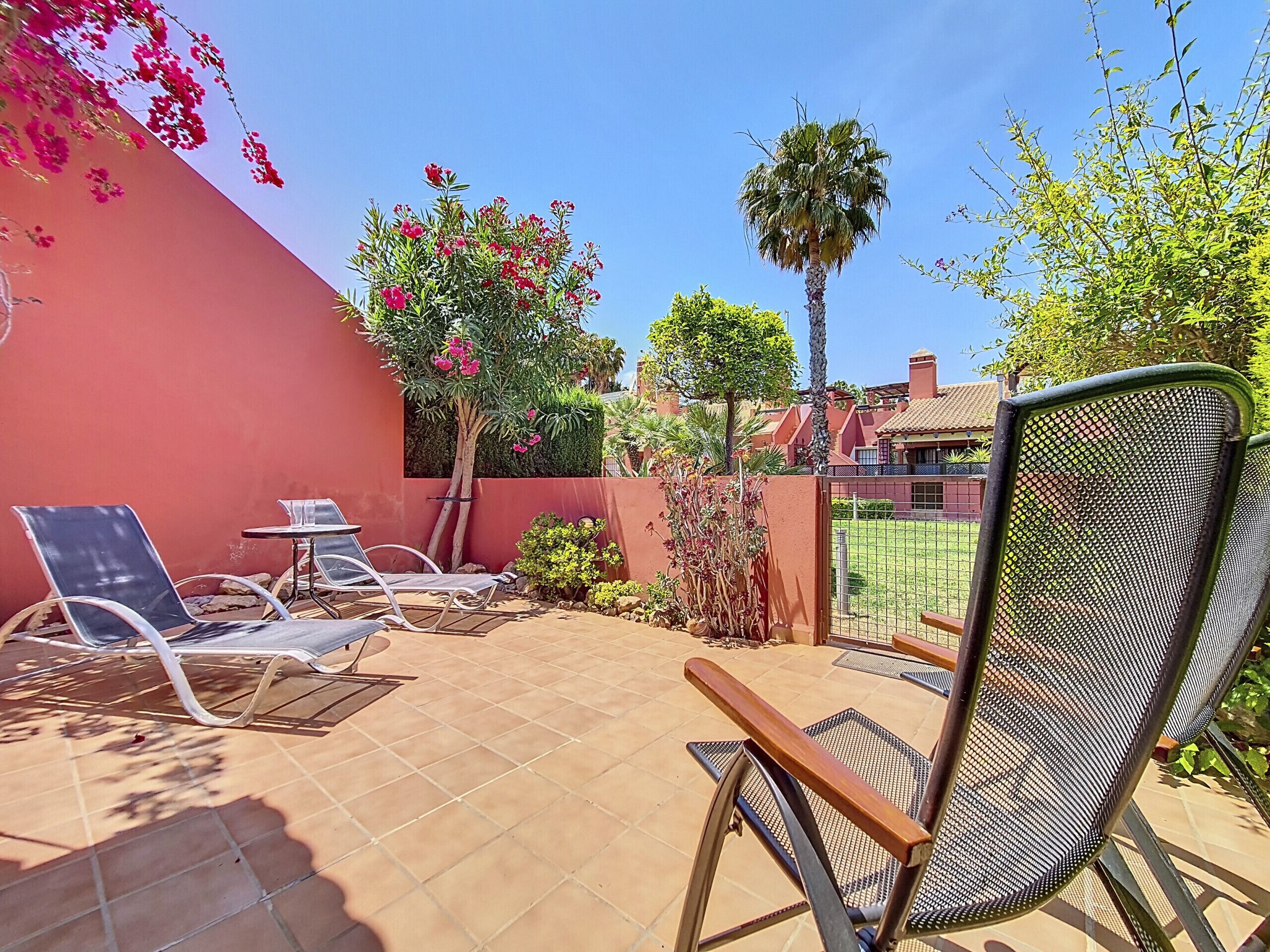 A patio area with outdoor seating, a palm tree, and a red wall.