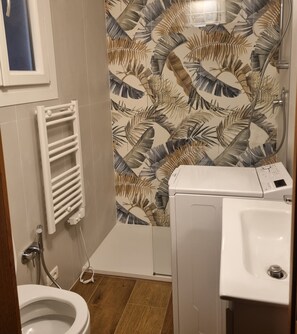Chuveiro, secador de cabelo, toalhas de banho, sabonete