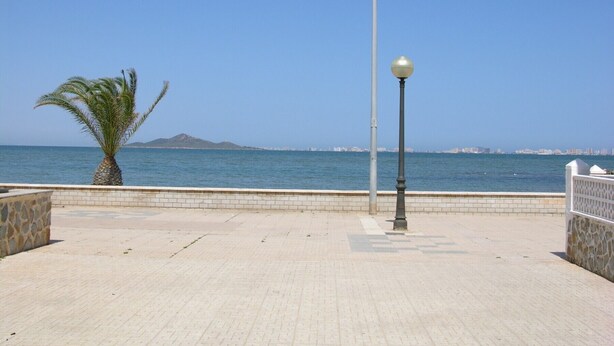 Une promenade en bord de mer, dallée, avec un palmier et un lampadaire.