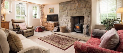 TV connectée, cheminée, lecteur de DVD, livres