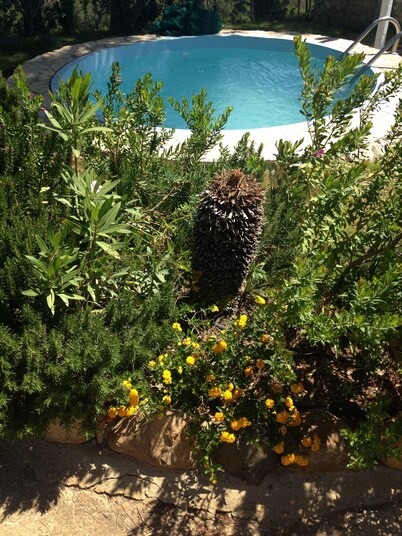 Villa San Pietro: SUPER Villa Ficha SECLUDED