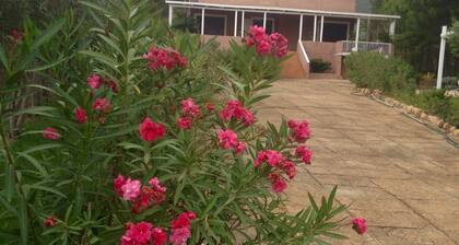 Villa S.PIETRO/PULA: VILLA CONSOLATA COUNTRY RETREAT