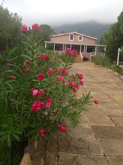 Villa S.PIETRO/PULA: VILLA CONSOLATA COUNTRY RETREAT