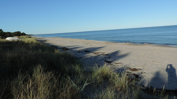 A beach with sand, grass, and a clear sky. - Beachfront - Österlen (Degeberga)