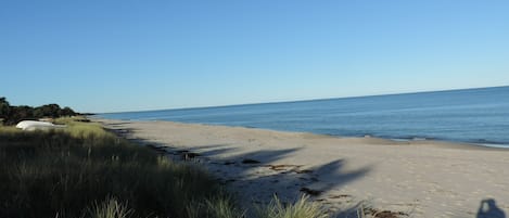 Tæt på stranden