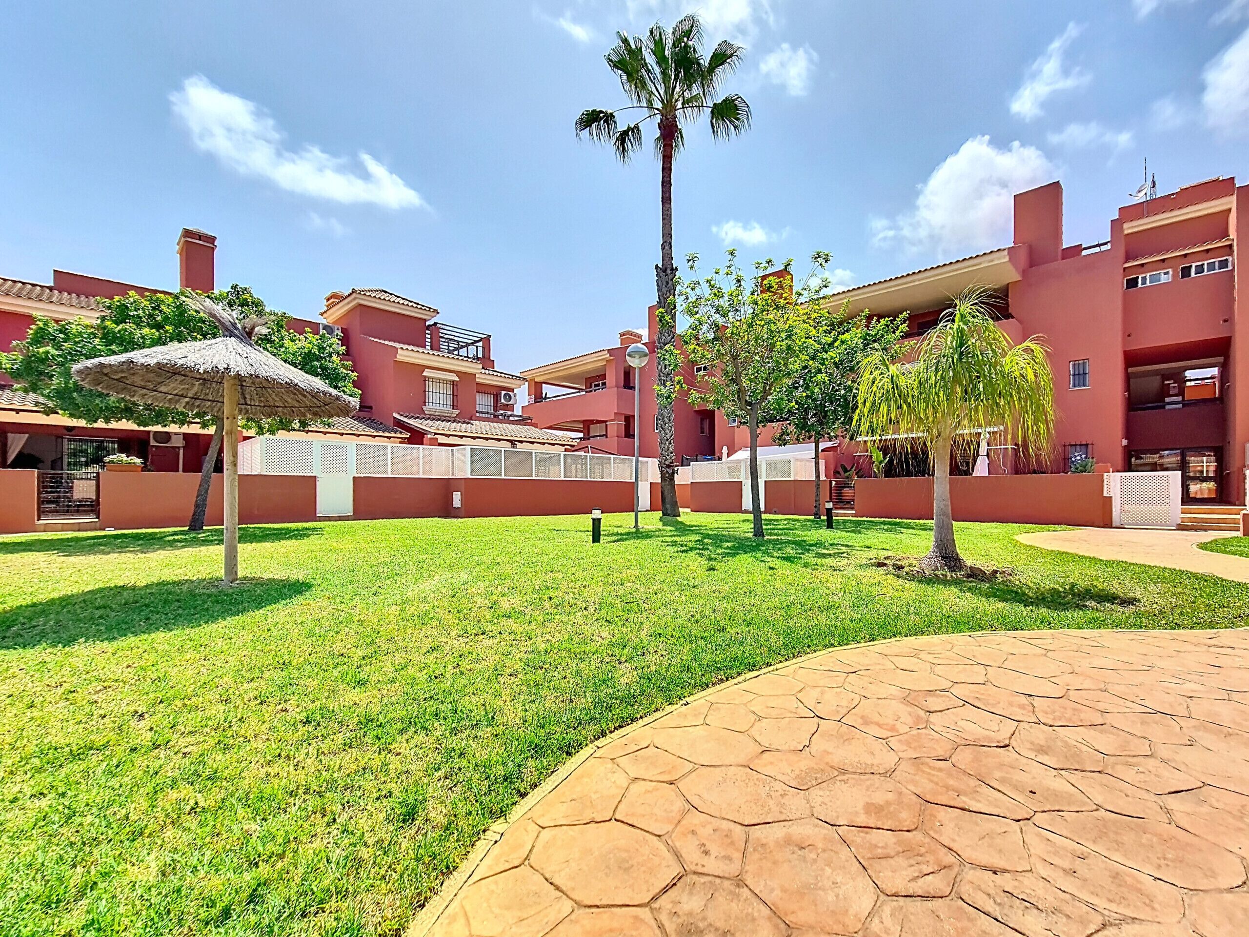 A courtyard with a paved walkway, a palm tree, and a building with a red facade.