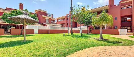 A courtyard with a paved walkway, a palm tree, and a building with a red facade.
