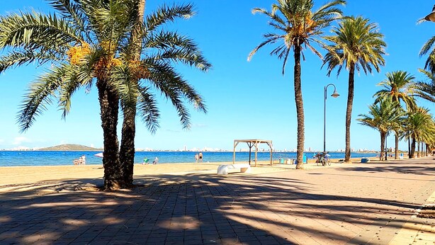 Une promenade dallée bordée de palmiers, avec une plage en arrière-plan.