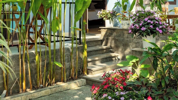 A courtyard with potted plants, a staircase, and a building with blue walls and a door. - Smart Garden Homestay (Da Nang)