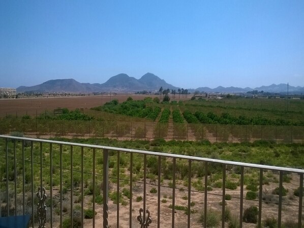 Property grounds - Penthouse apartment with roof terrace, communal pool, sea views (Los Nietos)