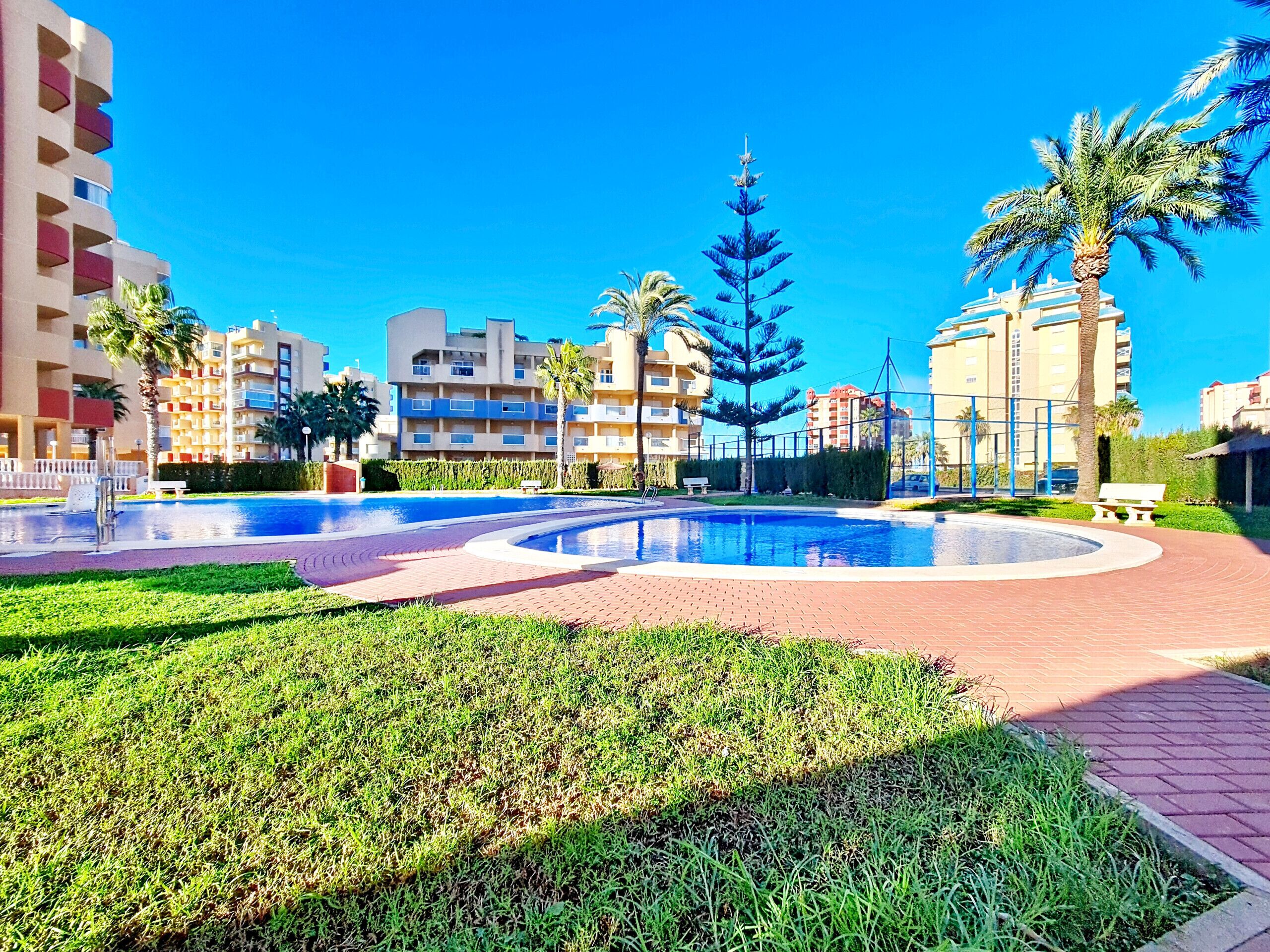 A resort pool area with a circular pool, palm trees, and multi-story buildings in the background.