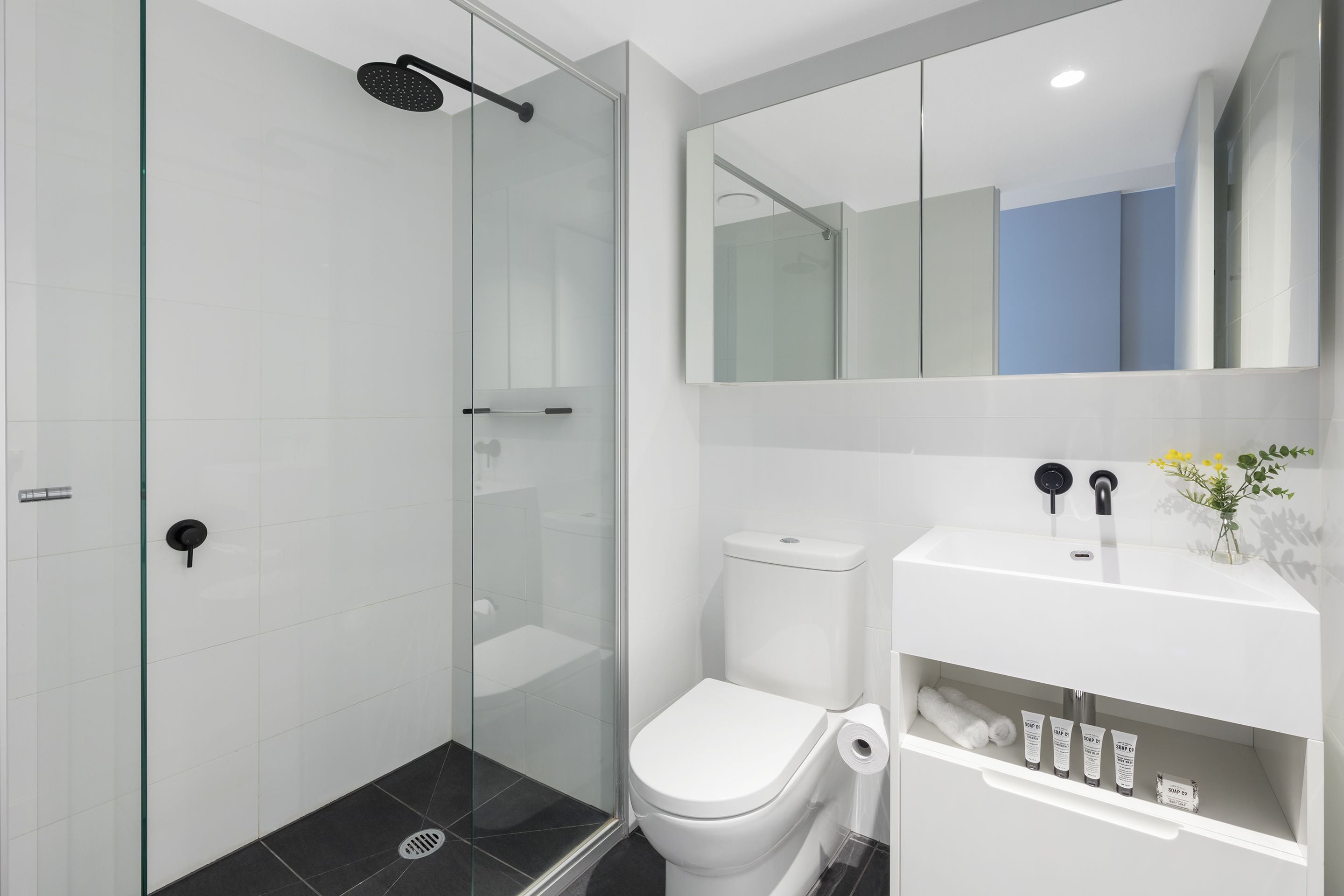 A modern bathroom with a glass-enclosed shower, a white toilet, and a vanity with toiletries.