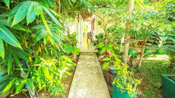 A garden pathway leading to a covered seating area surrounded by lush greenery and potted plants. - Nehansa Resort and Safari (Thissamaharama)