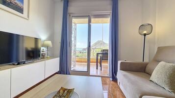 电视、DVD 播放器