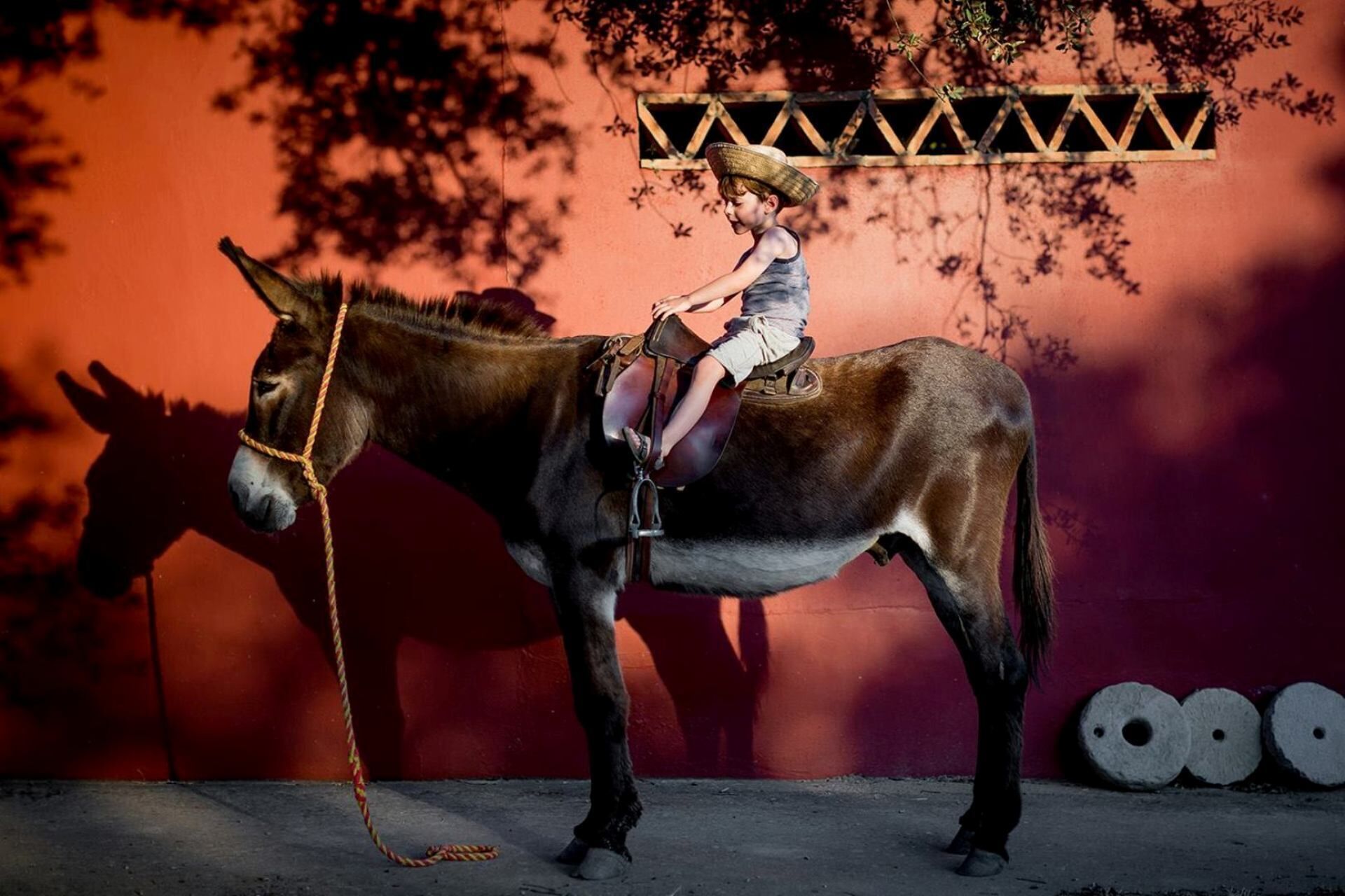 Una persona montando un burro frente a un muro rojo con una pérgola de madera y algunas plantas.