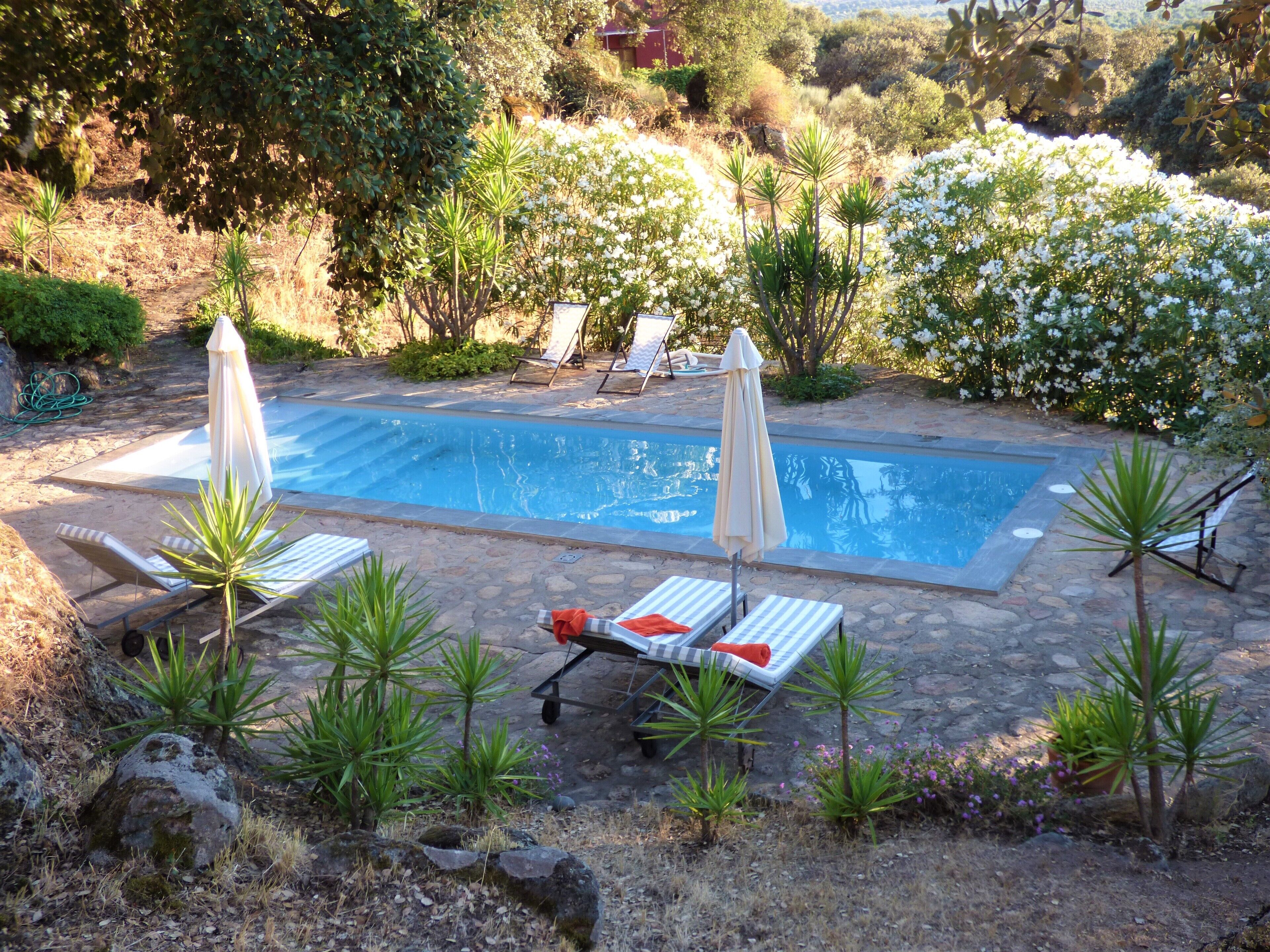 Un área de piscina privada con sillones de descanso y sombrillas, rodeada de follaje y un sendero de piedra.