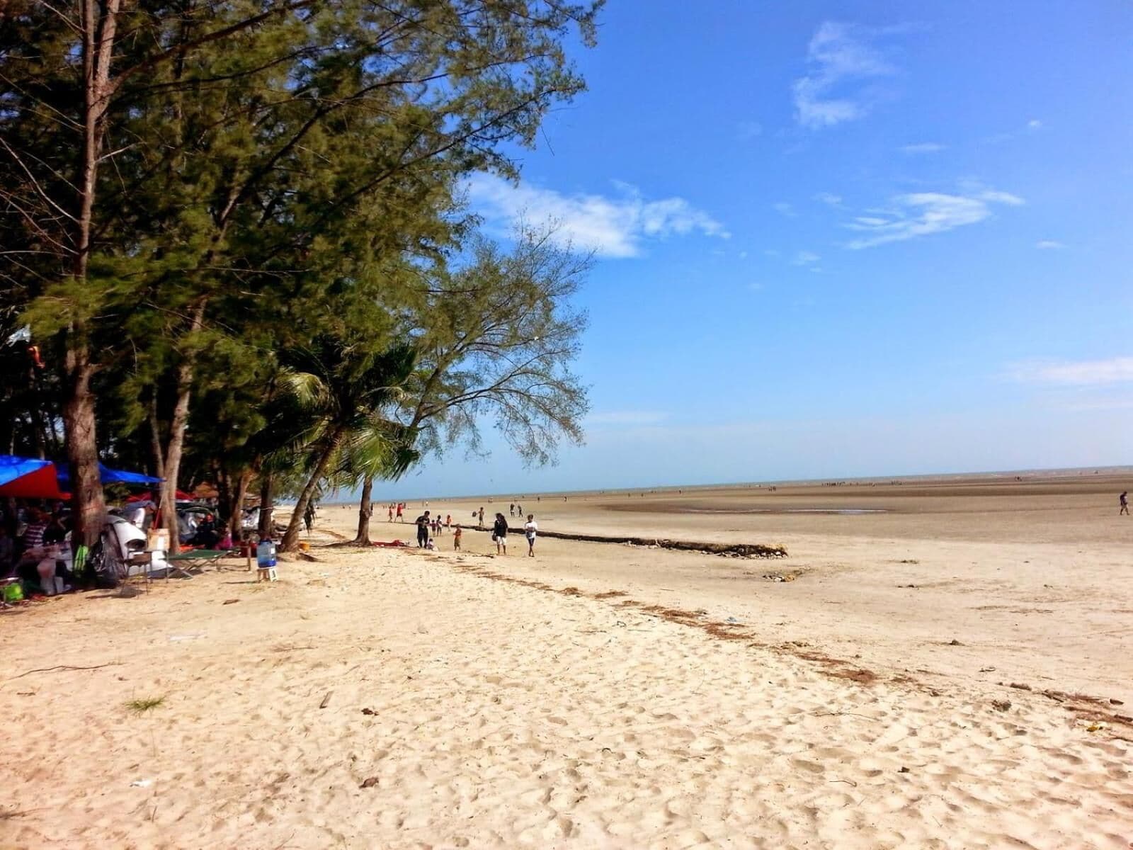 Una playa con algunas personas, árboles y un cielo despejado.