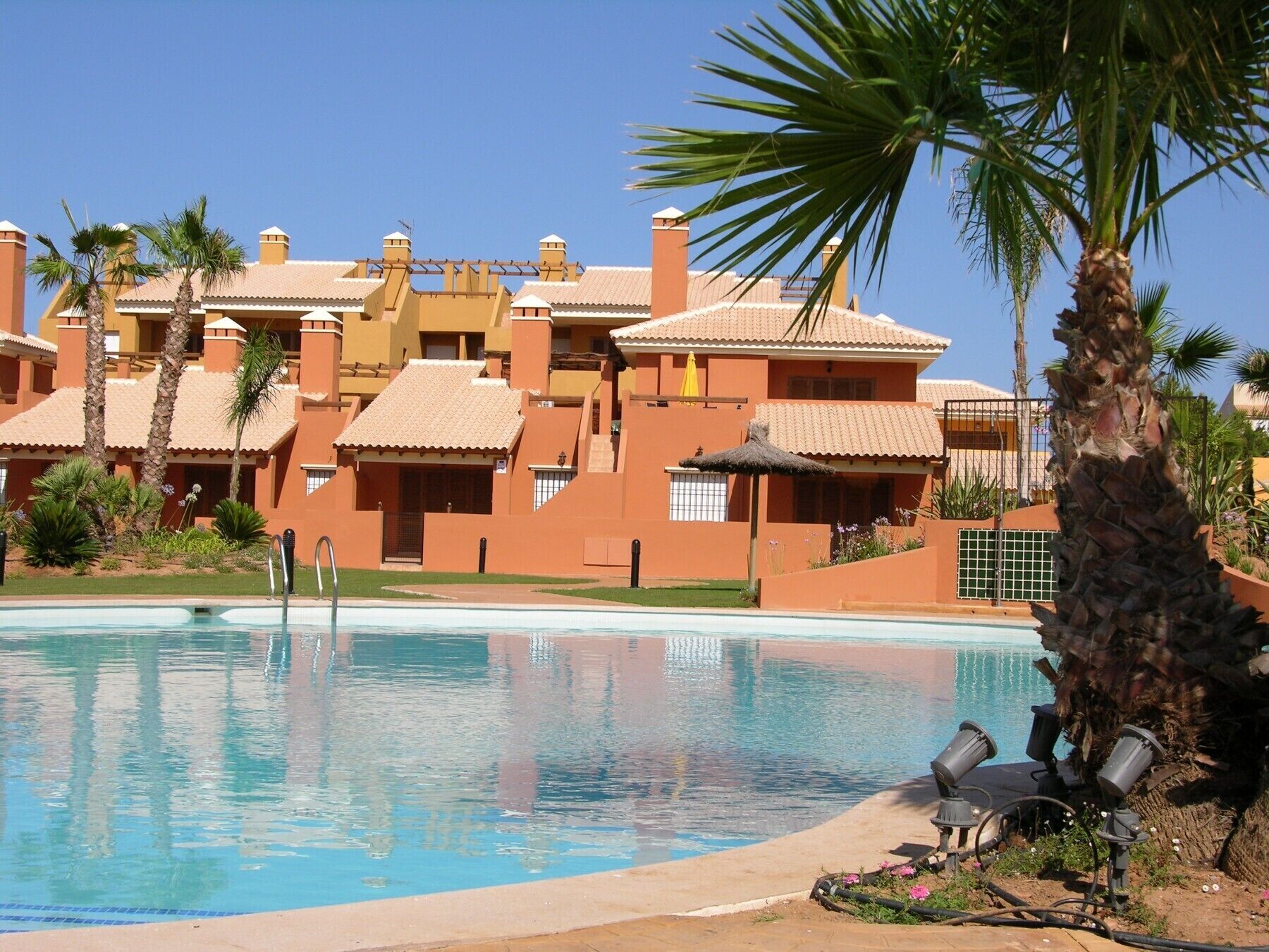 A pool area with a clear blue pool, surrounded by palm trees and a building with multiple balconies.