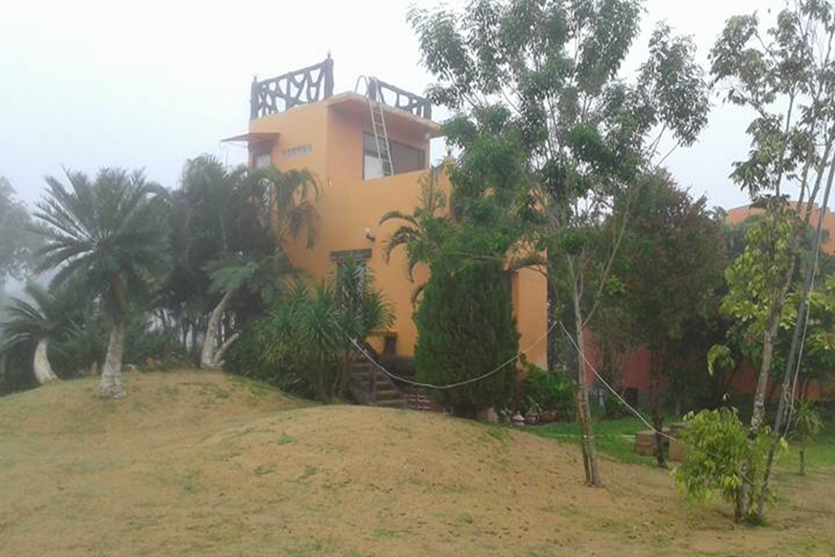 Un edificio amarillo con balcón y escalera, rodeado de vegetación y palmeras.
