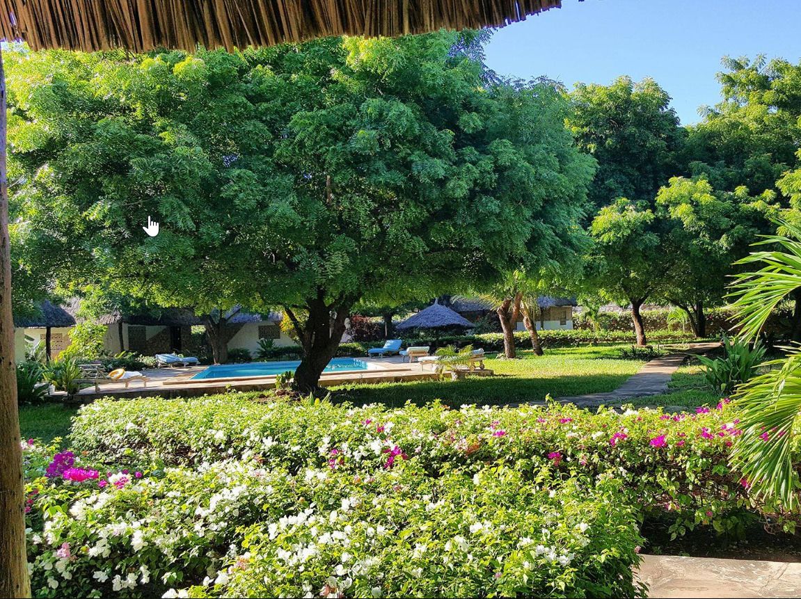 Vista para o jardim
