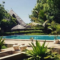 Una piscina al aire libre, sombrillas, sillones reclinables de piscina